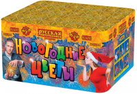 Новогодние цветы Фейерверк купить в Зиме | zima.salutsklad.ru