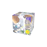 Новогодняя ночь Салют купить в Зиме | zima.salutsklad.ru