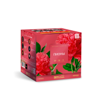 Пионы Салют купить в Зиме | zima.salutsklad.ru