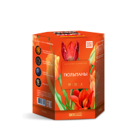 Тюльпаны Салют купить в Зиме | zima.salutsklad.ru