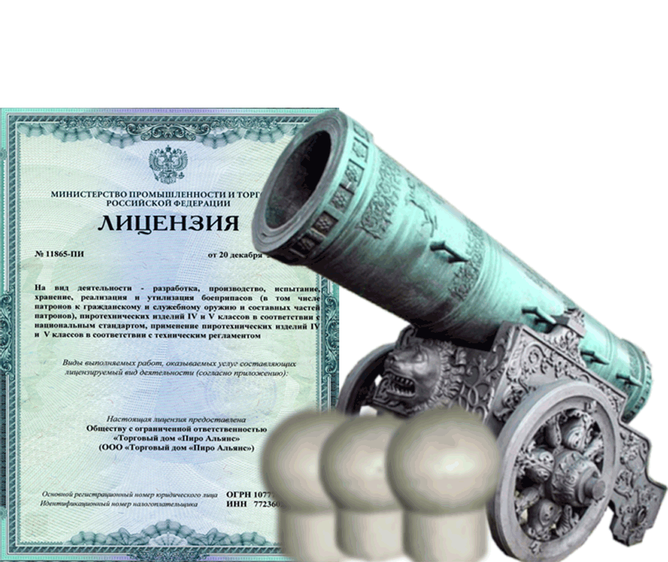 Заказать фейерверк на Новый Год - салют в Зиме