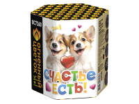 Счастье есть! Салют купить в Зиме | zima.salutsklad.ru