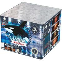 Косатка Фейерверк купить в Зиме | zima.salutsklad.ru