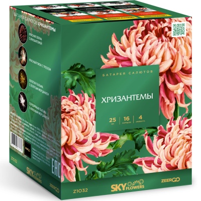 Хризантемы Фейерверк купить в Зиме | zima.salutsklad.ru
