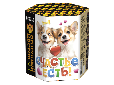 Счастье есть! Салют купить в Зиме | zima.salutsklad.ru